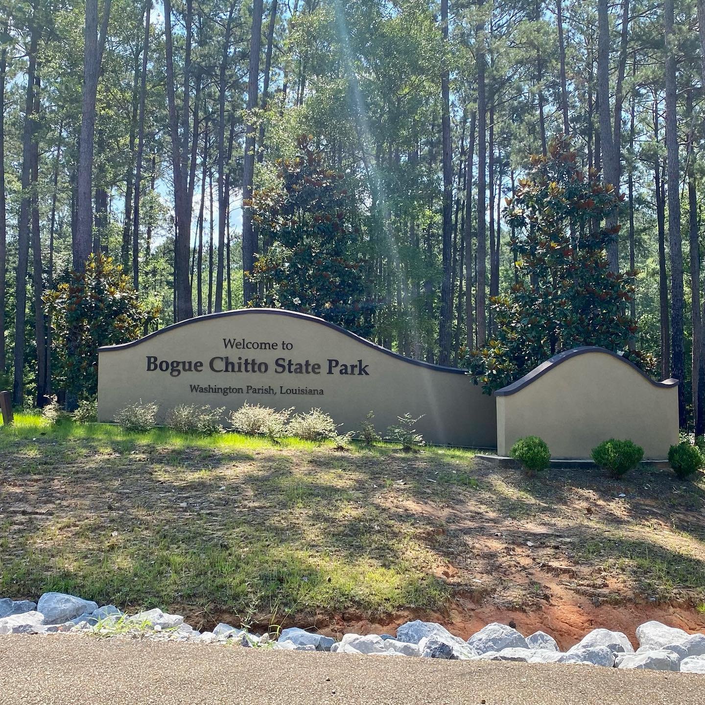 Experience Bogue Chitto: Outdoor Fun in Louisiana